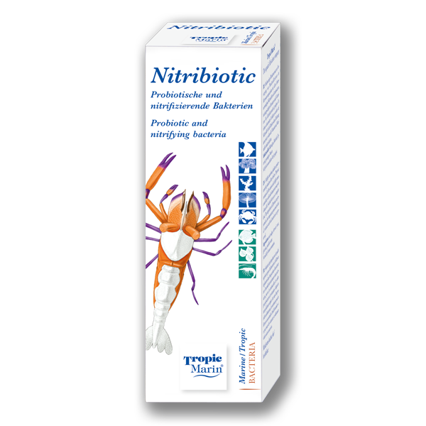 בקטריה - נבגי חיידקים 50 מ"ל - Nitribiotic